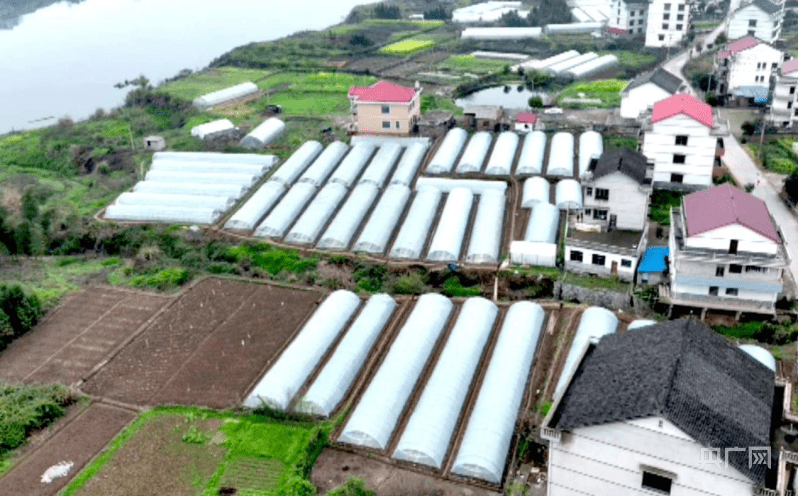 西瓜美居苹果版
:湖南新邵：“四位一体”打造“富村山居图”-第2张图片-太平洋在线下载