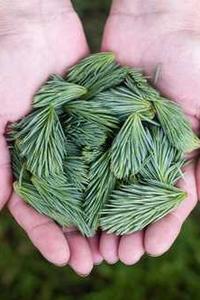 自动加人软件手机版免费下载-第1张图片-太平洋在线下载 自动加人软件手机版免费下载-第1张图片-太平洋在线下载