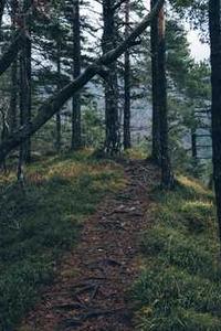 下载杀戮尖塔苹果版