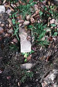 幽灵助手苹果版下载