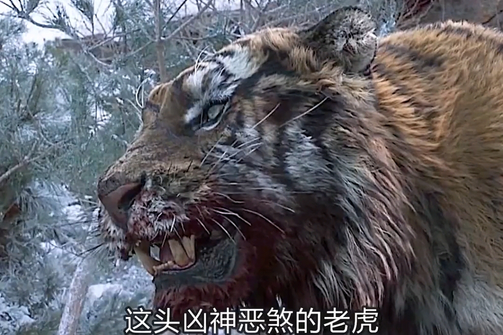 老虎影视苹果版灵虎影视ios怎么下-第2张图片-太平洋在线下载