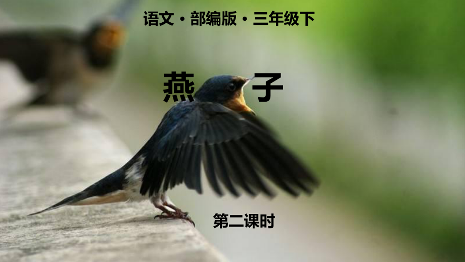 燕子安卓版鹅鸭杀安卓版-第2张图片-太平洋在线下载