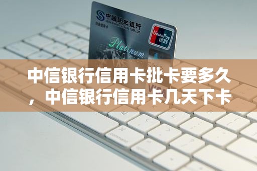 中信缴费客户端社保缴费app下载-第2张图片-太平洋在线下载