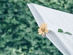 林祥影视苹果版绿点影视ios版-第1张图片-太平洋在线下载