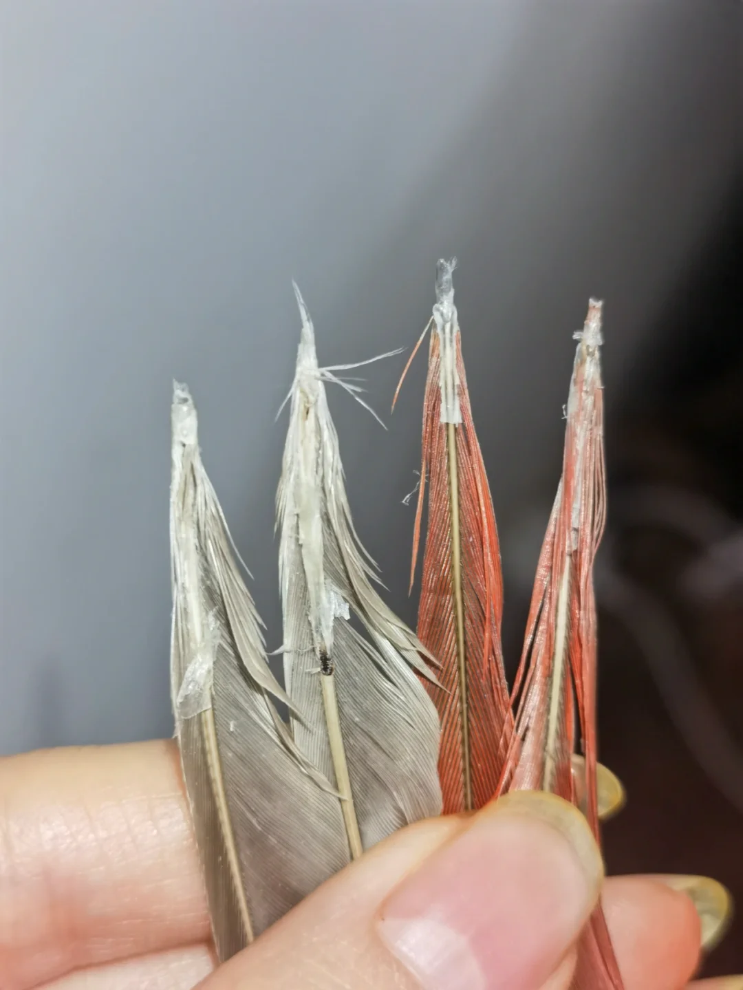 飞羽极速版安卓版暴风影音下载并安装-第2张图片-太平洋在线下载