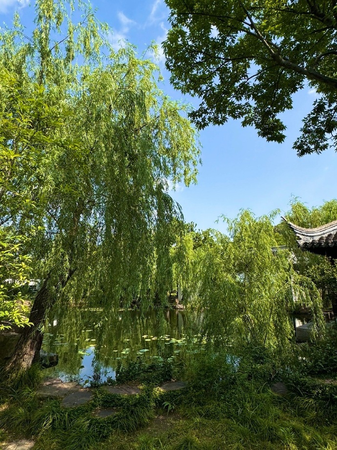 松鼠家庭相册安卓版打死一只松鼠会判几年-第2张图片-太平洋在线下载