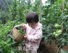 包含婷婷免费视频手机版在线的词条