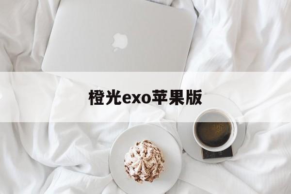 橙光exo苹果版(exo橙光游戏手机版)-第2张图片-有道翻译官网