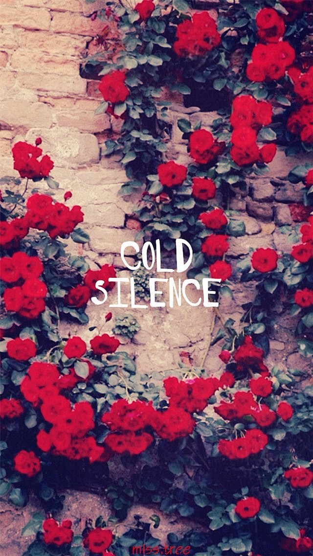 国际版微博苹果手机版(微博国际版怎么用苹果id登陆)