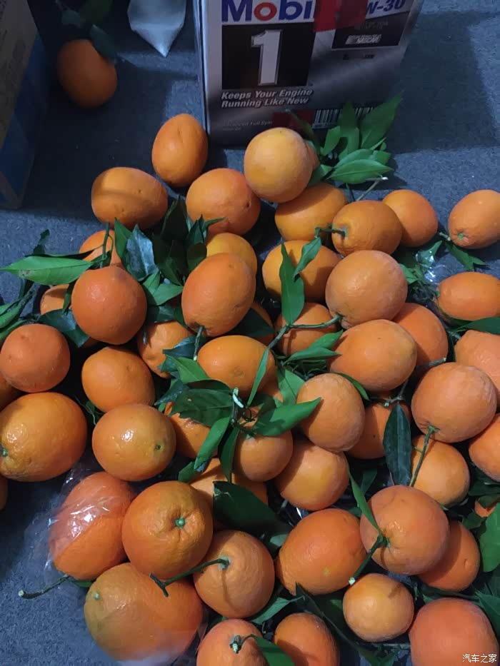 小柚驾考苹果版手机版(小柚学车app下载安装)-第2张图片-有道翻译官网