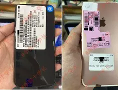 苹果7plus公开版与国行版(iphone7plus国行)-第7张图片-有道翻译官网